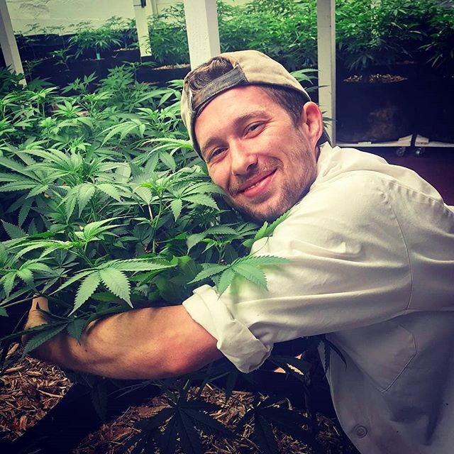 Smokey's 420 House - Fort Collins Website