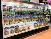 Sweet Relief - Tillamook Website