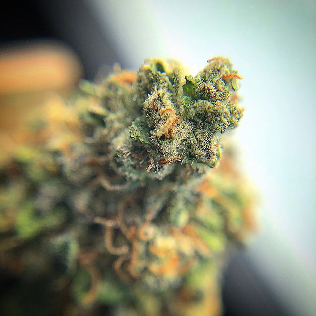 Wolf Pac Cannabis - Federal Blvd Website