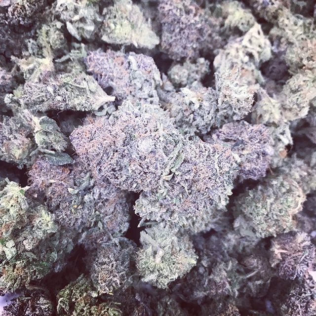 Alaska Weeds of Anchorage Website