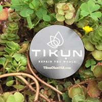 Tikun Website
