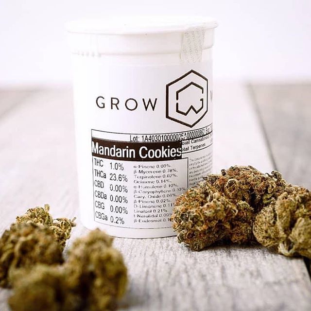 Health for Life Crismon Website