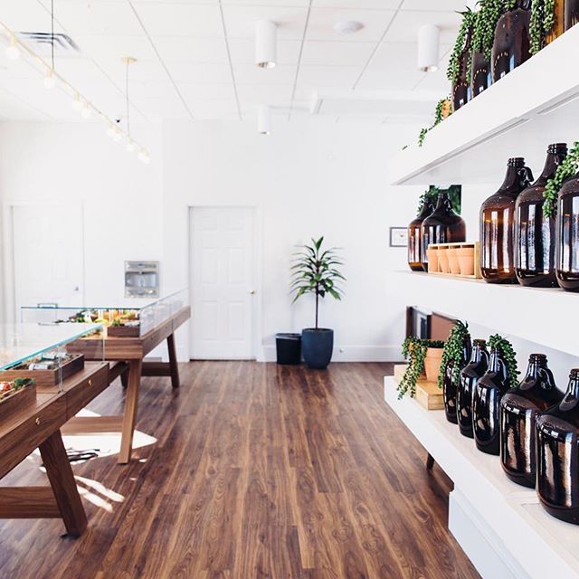 The Botanist - Middletow Website