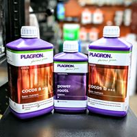 Big Green Tomato Website