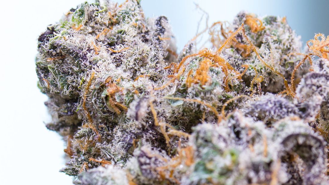 The Vth LMNT Website