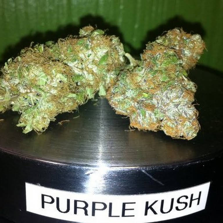 Pure Intentions Wellness Center Website