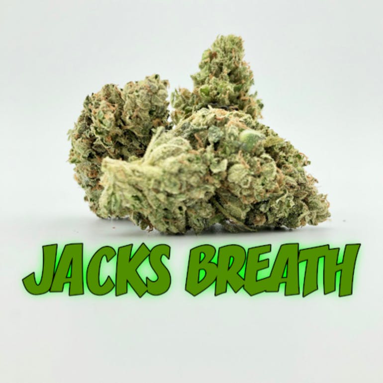 Healthy Greens Delivery Website