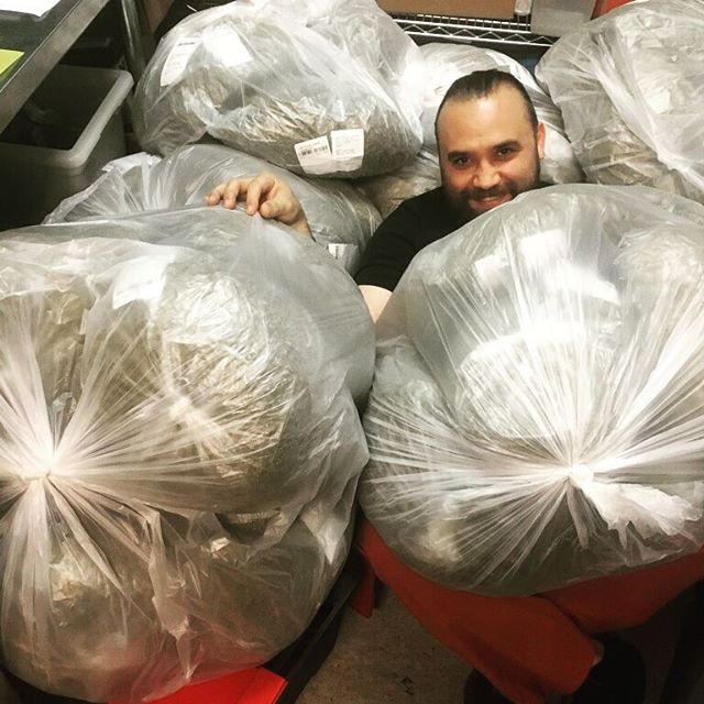 Desert Bloom Releaf Center Website