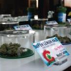 Alpenglow Premium Cannabis Website