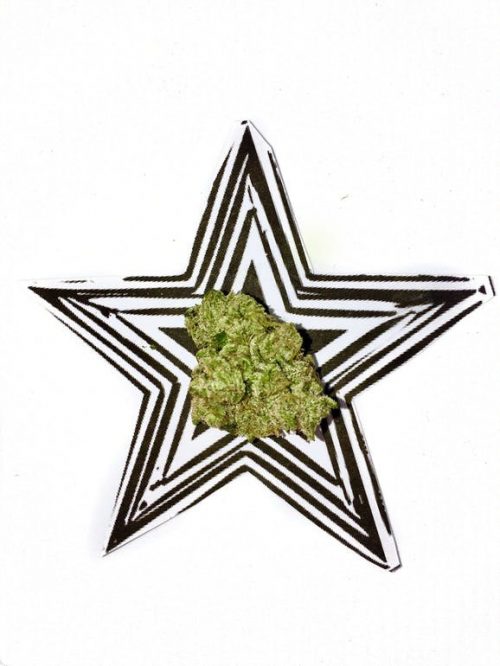 One Love Delivery Website