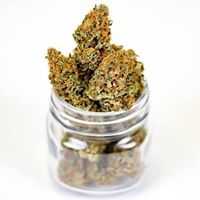 The CBDispensary Website
