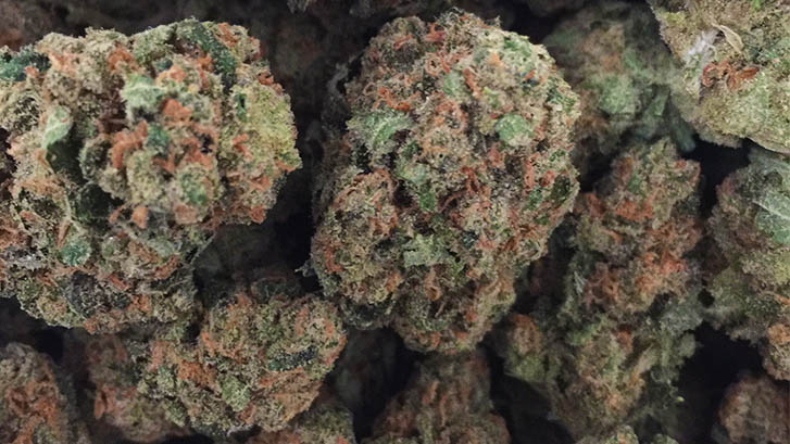 Magnolia Road Cannabis Co. Boulder (REC) Website