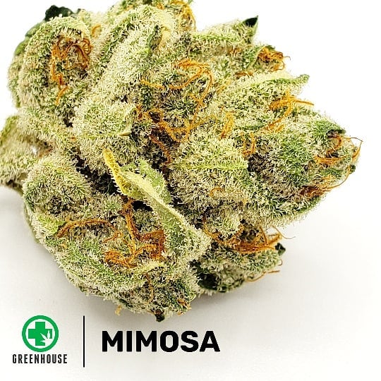 The Greenhouse of Walled Lake Website