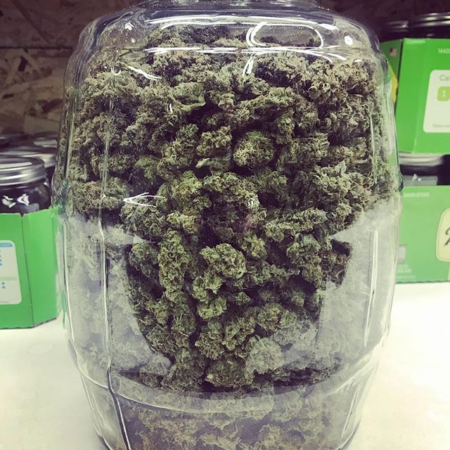 Alaska Weeds of Anchorage Website