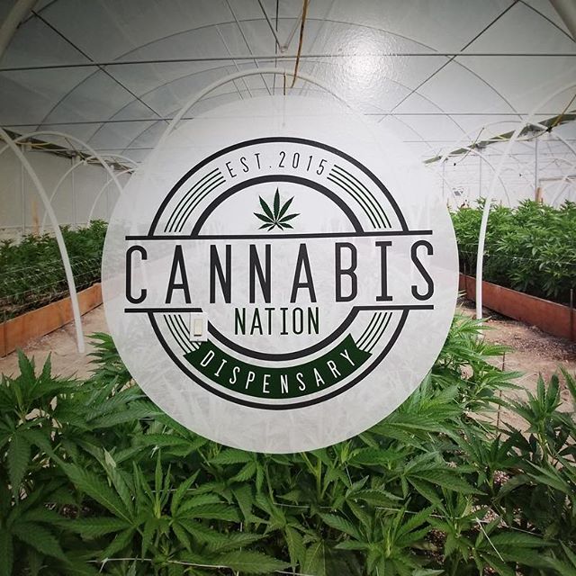 Cannabis Nation Seaside Website