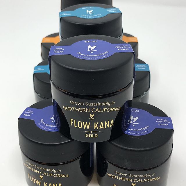 Dixon Wellness Website