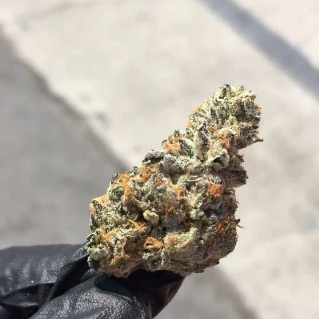 Purple Lotus Patient Center Website