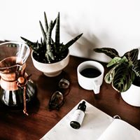 Populum Naturals Website