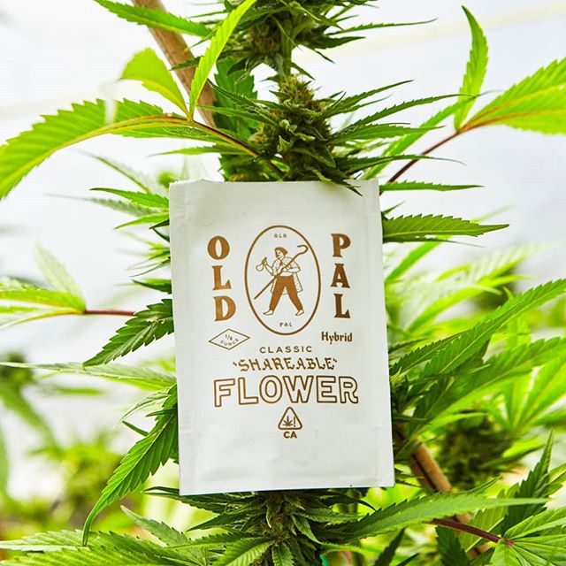 The Kind Center Website