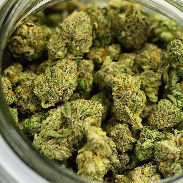 Shango Win Sivers "Airport" Website