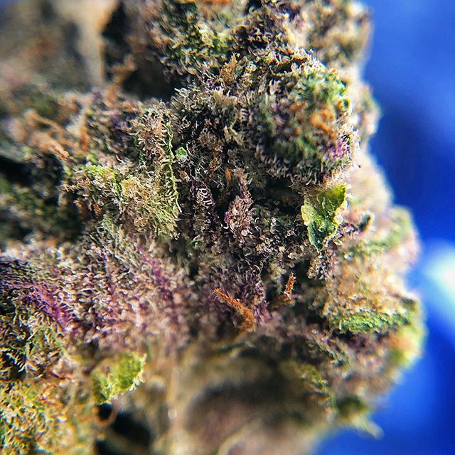 Wolf Pac Cannabis - Federal Blvd Website