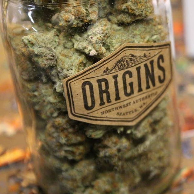 Origins - West Seattle Website