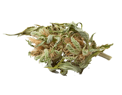 KushMart - Everett Website