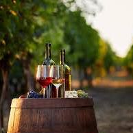 Beverage Trade Network Website