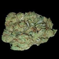 The Way Home Website