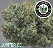 LOS ANGELES KUSH - EAST LA Website