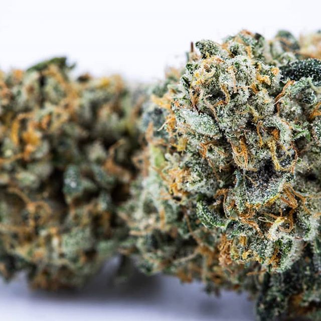 Urban Dispensary Website