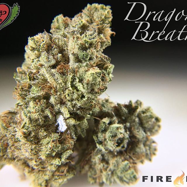 Loving Farms - Mount Vernon Website