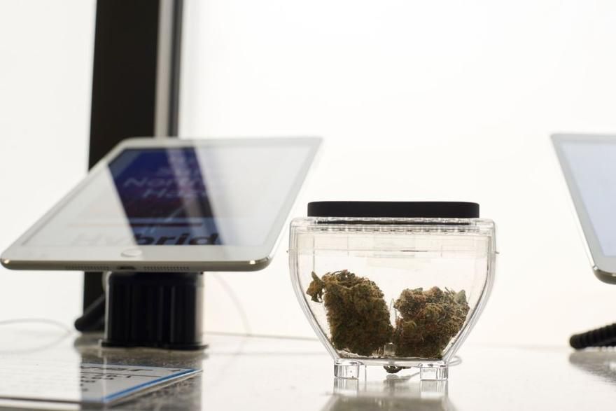 Euflora - Longmont Website