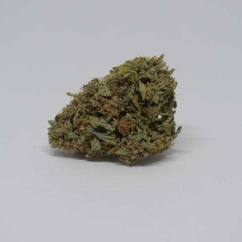 Cannabud Runner Website