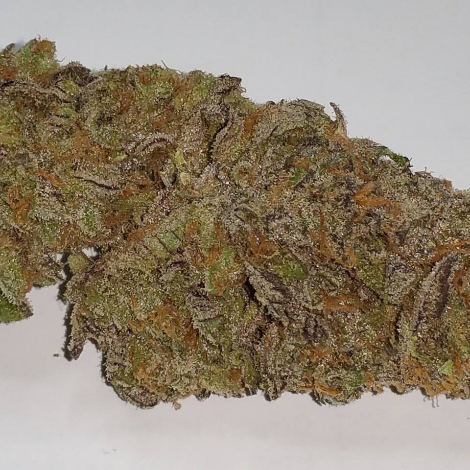 Little Amsterdam - Nevada Website