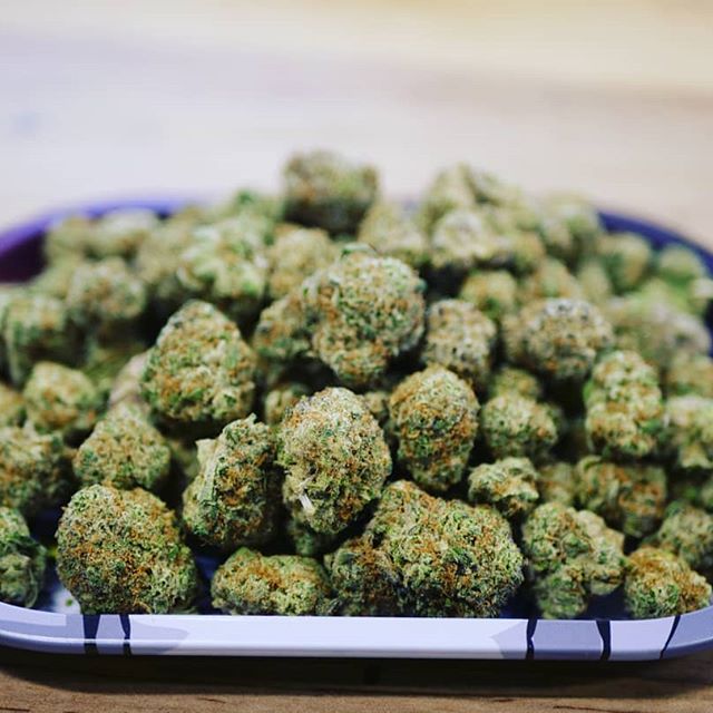 Trees Waterfront Website