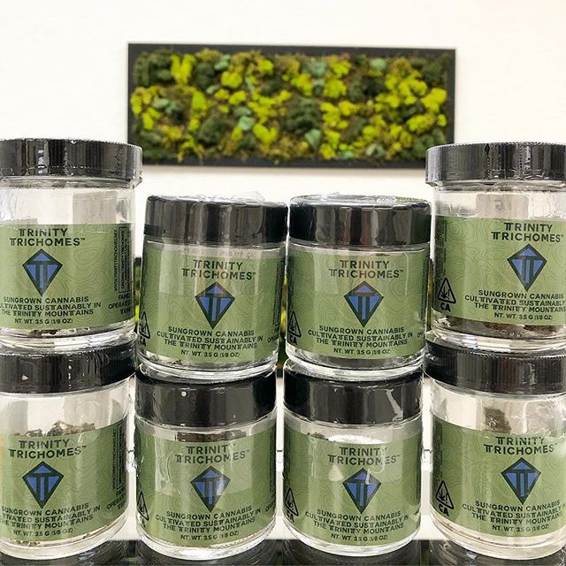 Synergy Redding Website