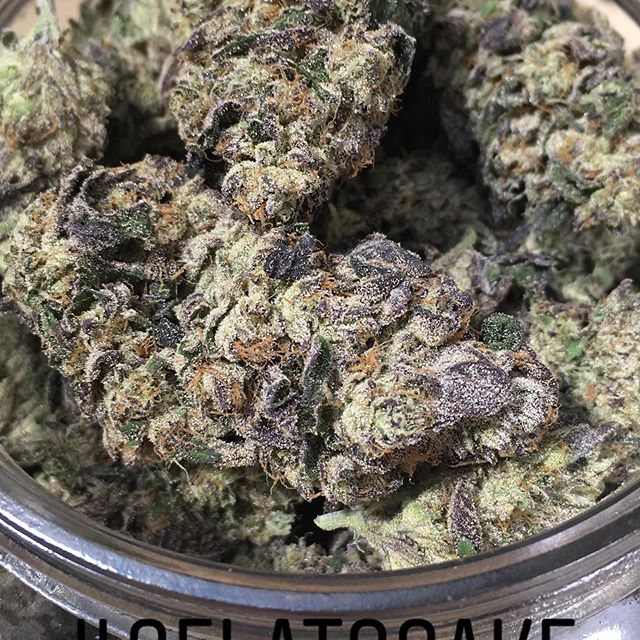 Harvest House Nederland Website