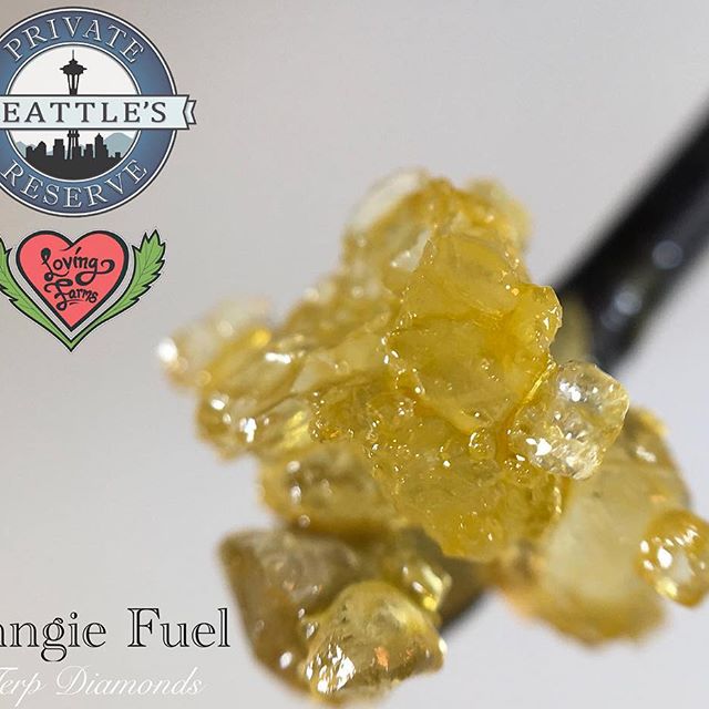 Loving Farms - Mount Vernon Website