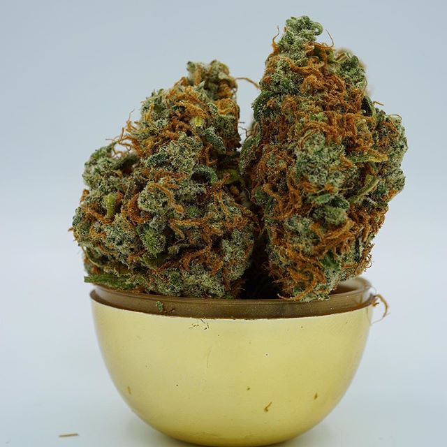 Diego Pellicer - Denver Website