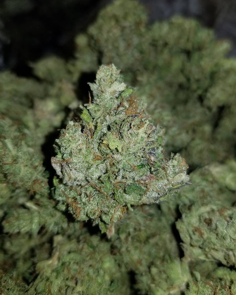 Truth Dispensary Website