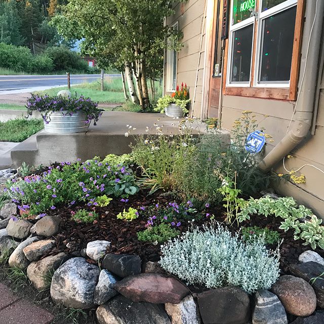 Harvest House Nederland Website