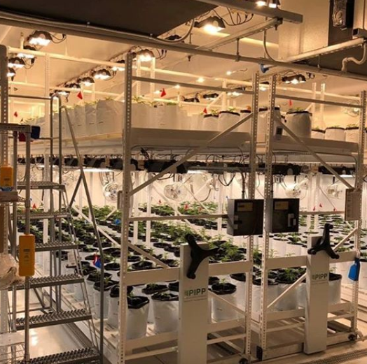 Greenhaus Industries Website