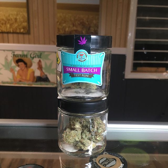 I-90 Green House - Ritzville Website