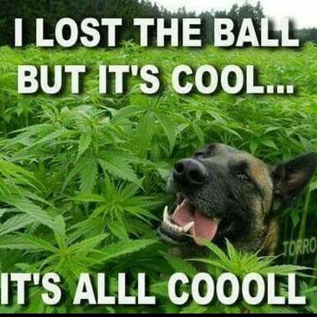 Breeze Botanicals - Ashland Website