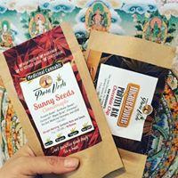 Pura Vida Health Website