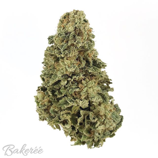 The Bakeréé Website