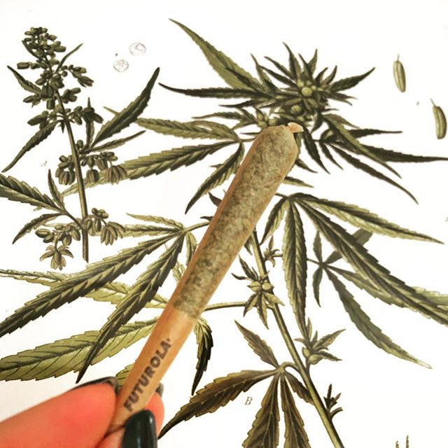 Ash + Ember Cannabis Website