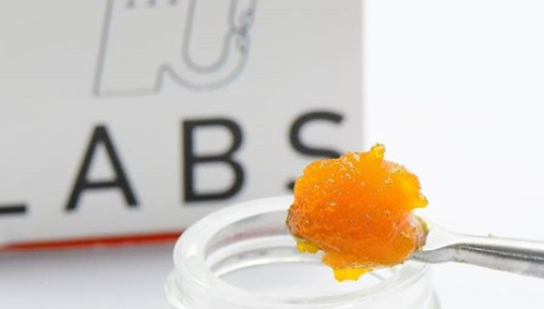 Green Envy Collective Website