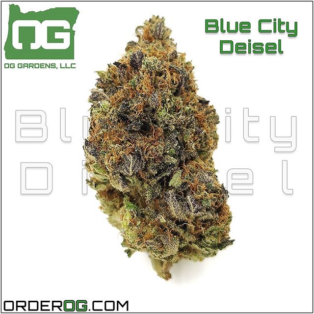 OG Collective - Hawthorne Website